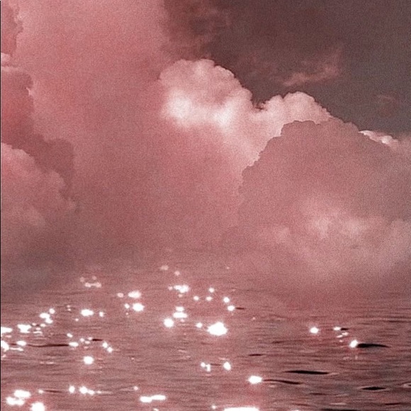 Meet your Posher, Maddison - Picture 1 of 1